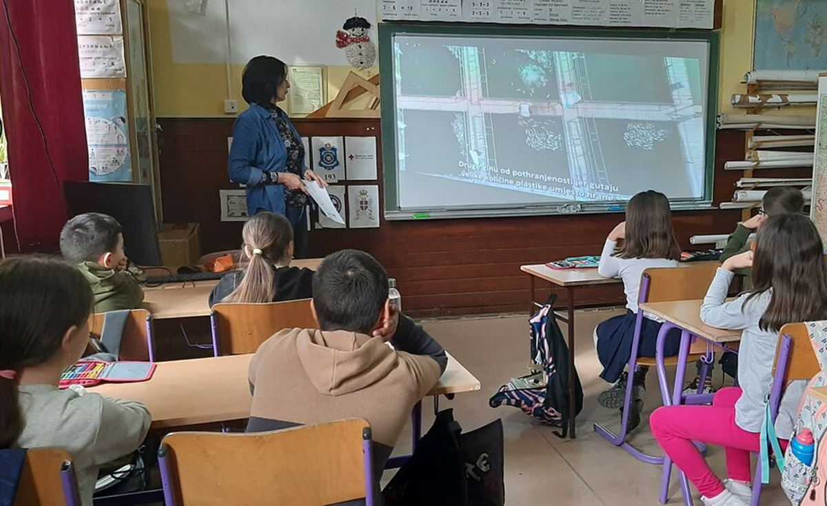 Ковински Змајевци у Мрежи европских плавих школа