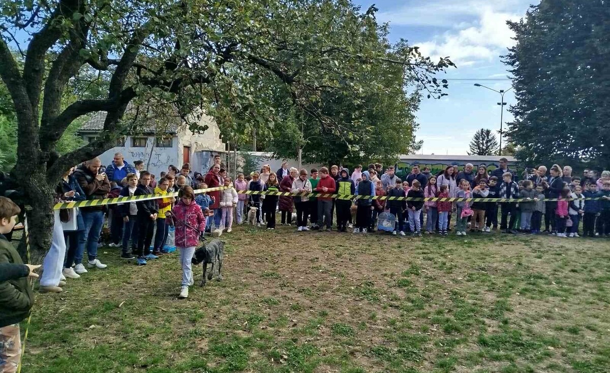 Изложба кућних љубимаца