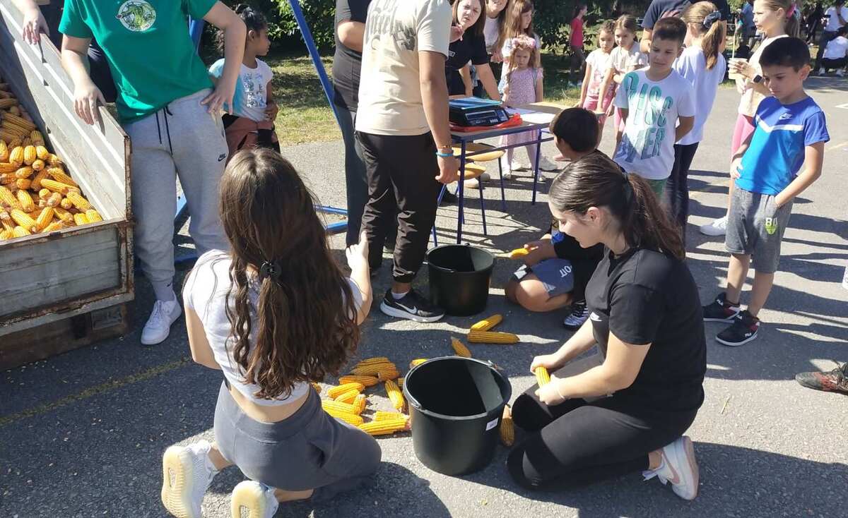 Заборављене игре у Плочици