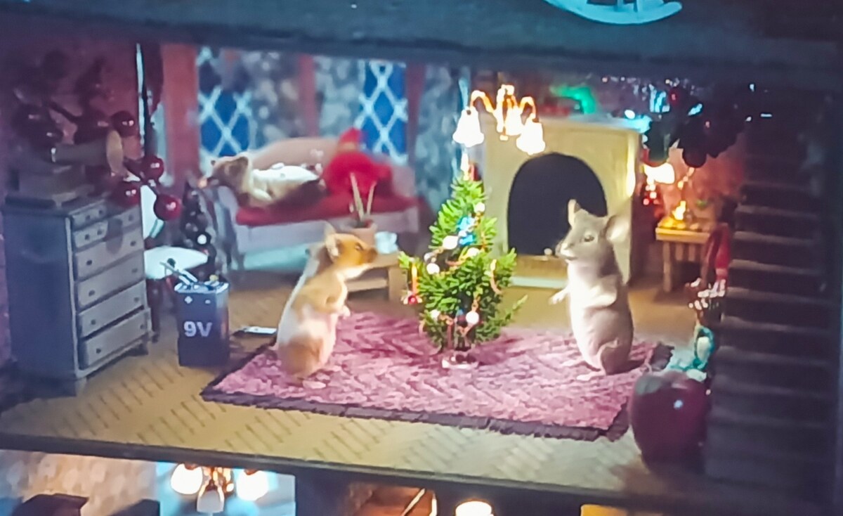 Биоскопска пројекција